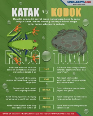 Serupa tapi Tak Sama,...