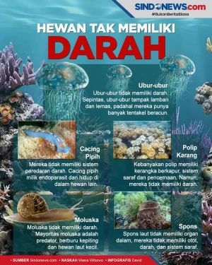 Ada yang Beracun, Berikut...