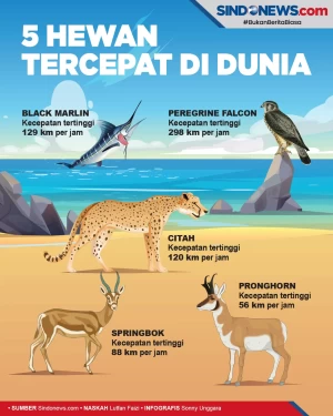 5 Hewan Tercepat di...