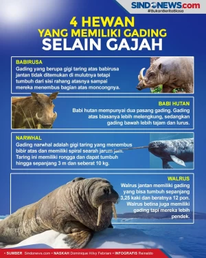 Empat Hewan yang Memiliki...