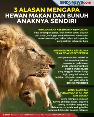 Tiga Alasan Hewan Makan...