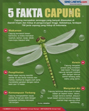 Fakta-Fakta Menarik...