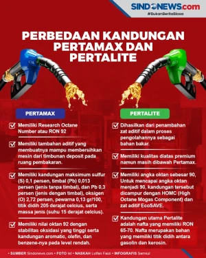 Beberapa Perbedaan Kandungan...