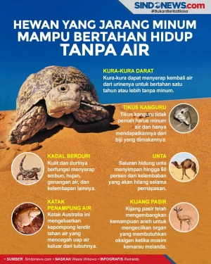 6 Hewan yang Jarang...