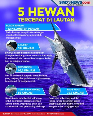 5 Hewan Tercepat di...
