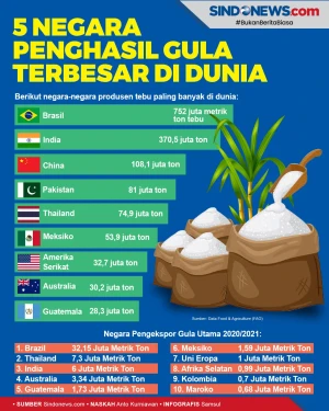 Berikut Ini 5 Negara...