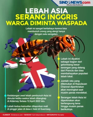 Lebah Asia Serang Inggris,...
