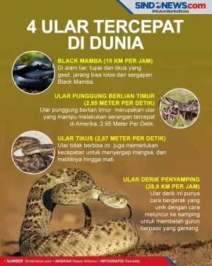 4 Ular Tercepat di Dunia,...