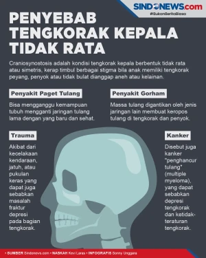 Beberapa Faktor Penyebab...