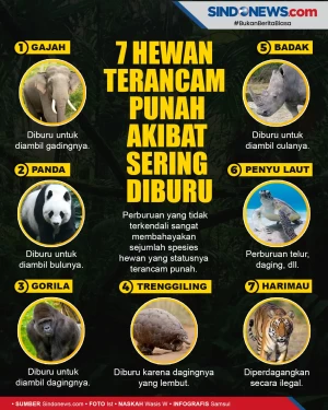 Perburuan Liar Merajalela,...