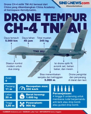 CH-4 Rainbow, Drone...