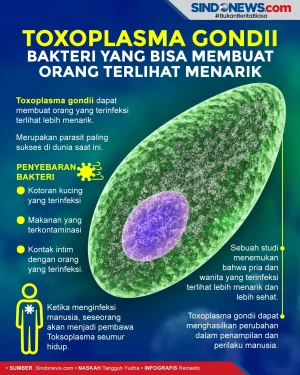 Toxoplasma gondii Bakteri...