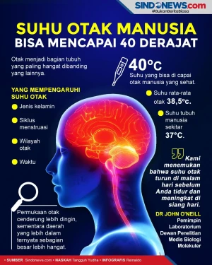 Ilmuwan Sebut Suhu Otak...