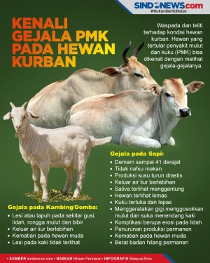 Kenali Dulu Gejala-gejala...