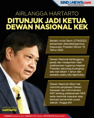 Jokowi Tunjuk Airlangga...