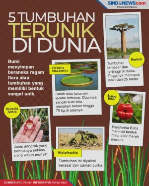 Tumbuhan yang Memiliki...