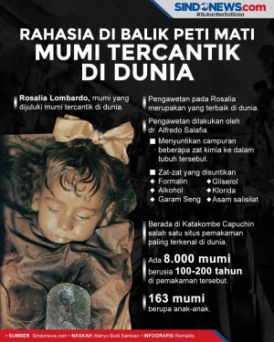 Rahasia di Balik Peti...