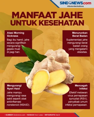 Terbukti Ampuh Lawan...