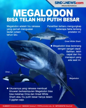 Megalodon Bisa Melahap...