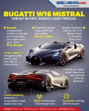 Bugatti W16 Mistral...