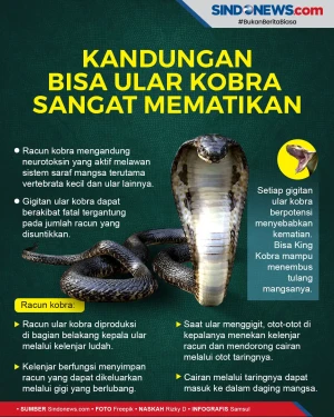 Kandungan dan Bahaya...