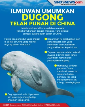 Ilmuwan Umumkan Dugong...
