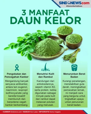 Cocok untuk Diet, Ini...