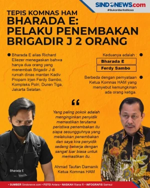 Tepis Komnas HAM, Bharada...
