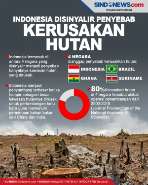Indonesia Disebut Paling...