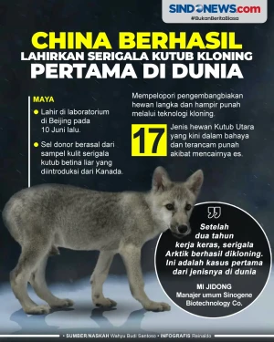 China Berhasil Lahirkan...