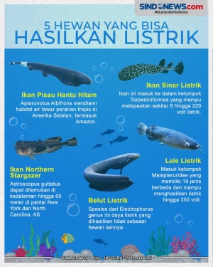 Awas Tersengat! Ini...