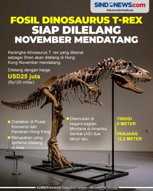 Fosil Dinosaurus T-Rex...