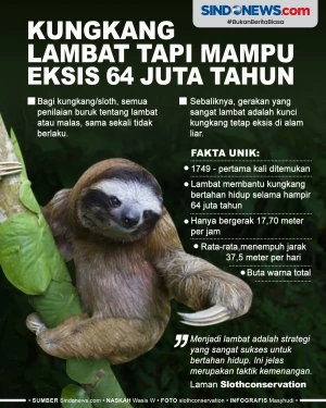 Meskipun Sangat Lambat,...