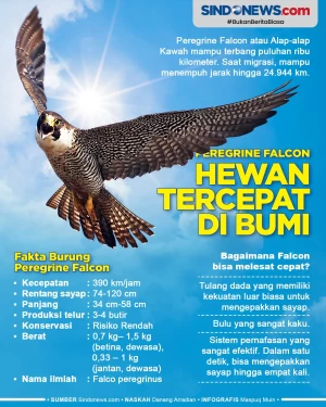 Melesat 390 Km/Jam,...