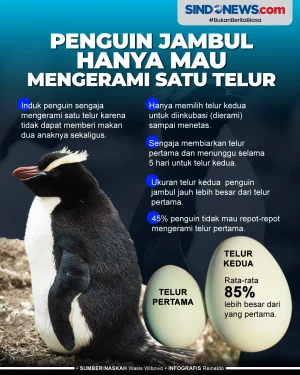 Perilaku Aneh Penguin...