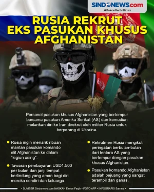 Perang di Ukraina, Rusia...