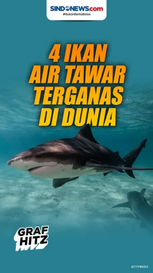 4 Ikan Air Tawar Terganas...