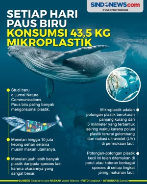 Setiap Hari Paus Biru...