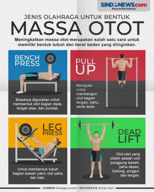 Ingin Punya Tubuh Ideal?...