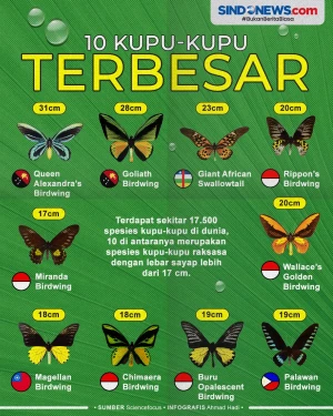 Banyak dari Indonesia,...
