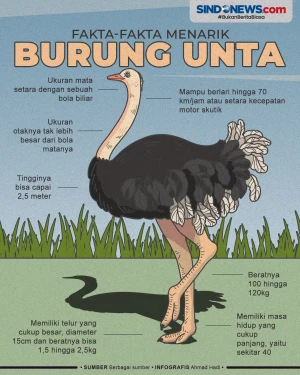 Beberapa Fakta Menarik...