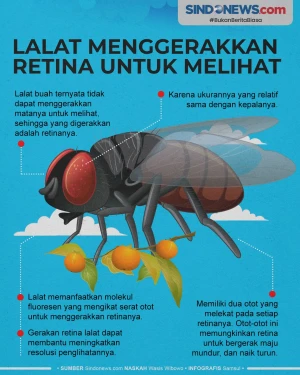 Bukan Matanya, untuk...
