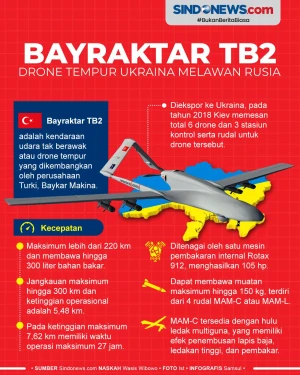 Bayraktar TB2, Drone...