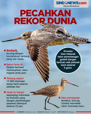 Pecahkan Rekor Dunia,...