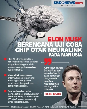 Chip Otak Nirkabel Neuralink...