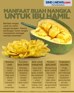 Kaya Nutrisi, Berikut...