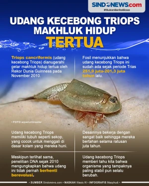 Bertahan 250 Juta Tahun,...