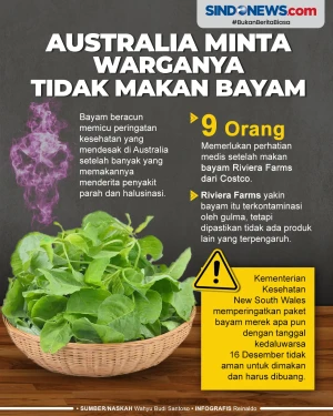 Timbulkan Halusinasi,...