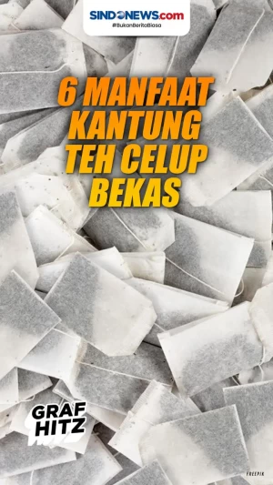 6 Manfaat Kantung Teh...
