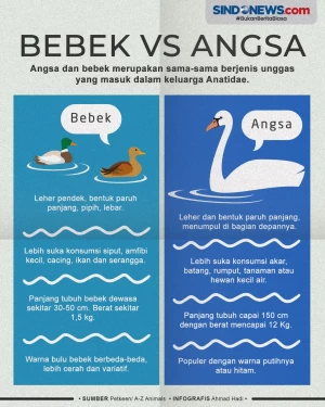 Sering Dianggap Sama,...